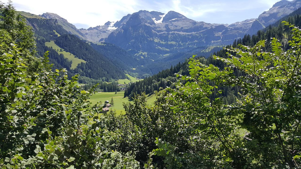 Bed and Breakfast Bergluft Lenk im Simmental Exterior foto