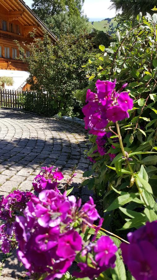 Bed and Breakfast Bergluft Lenk im Simmental Exterior foto
